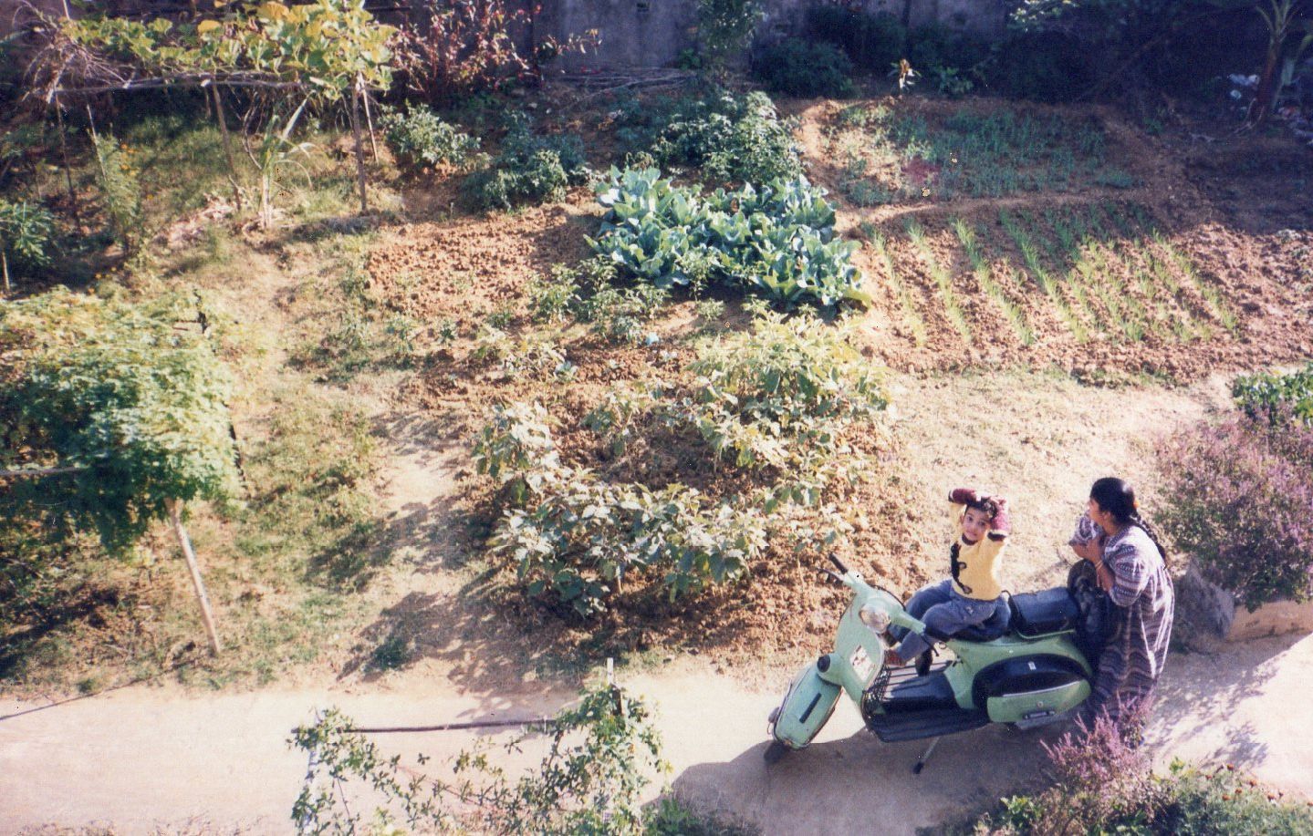 Our Vegetable Patch