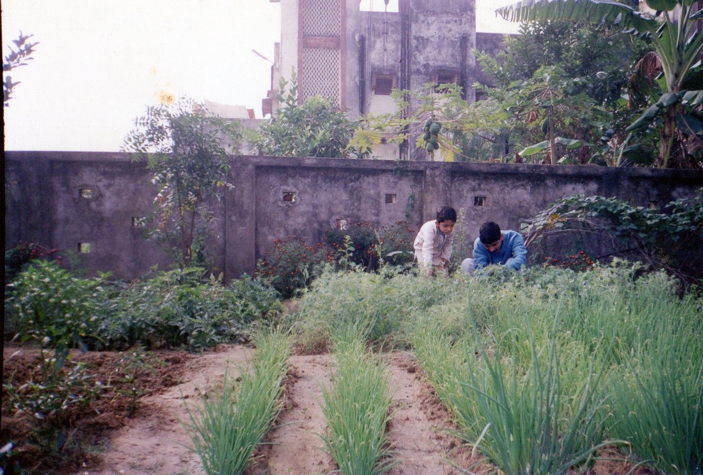 Of thunderstorms and cover drives.