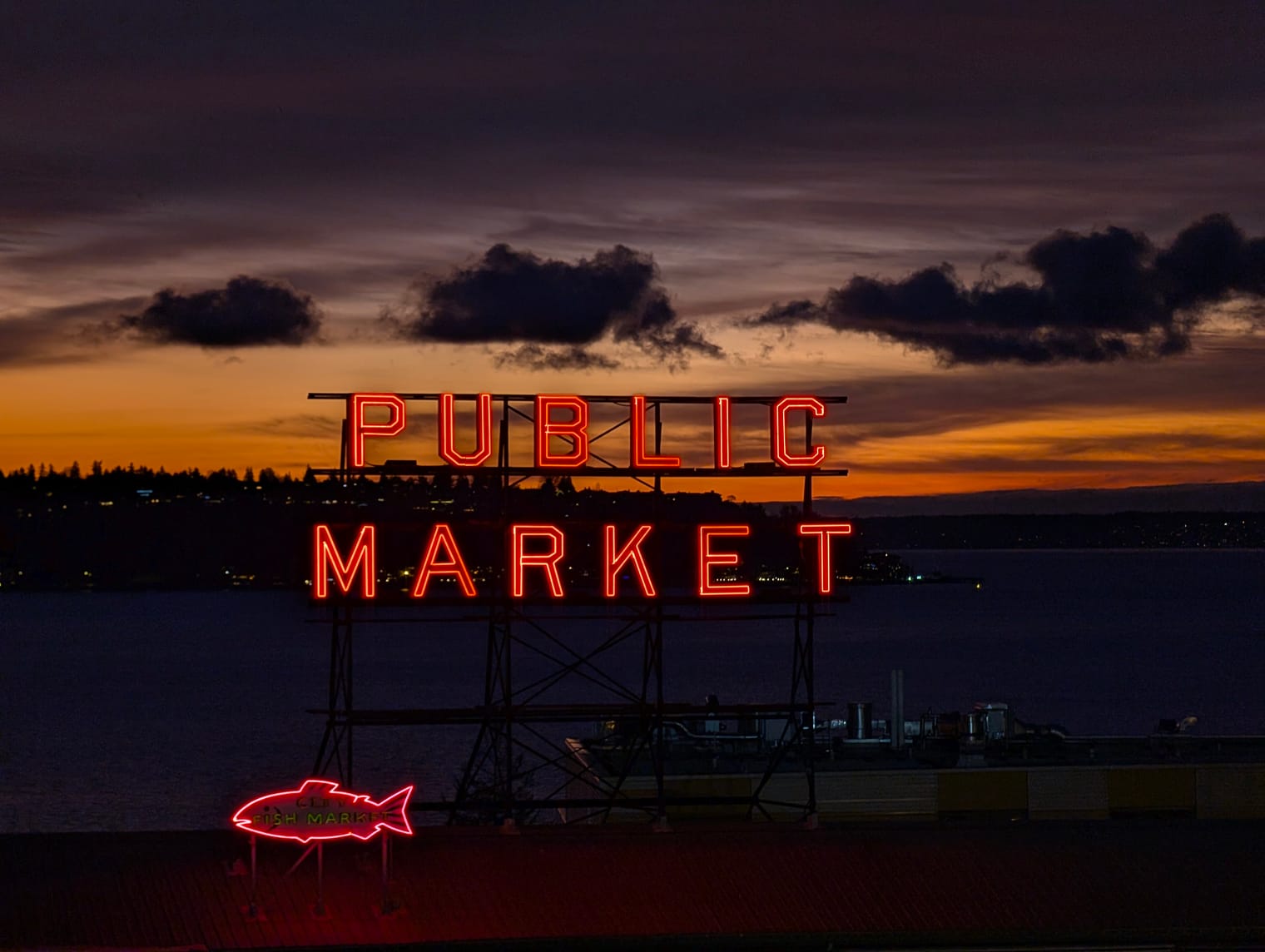 Or would you rather be a fish?